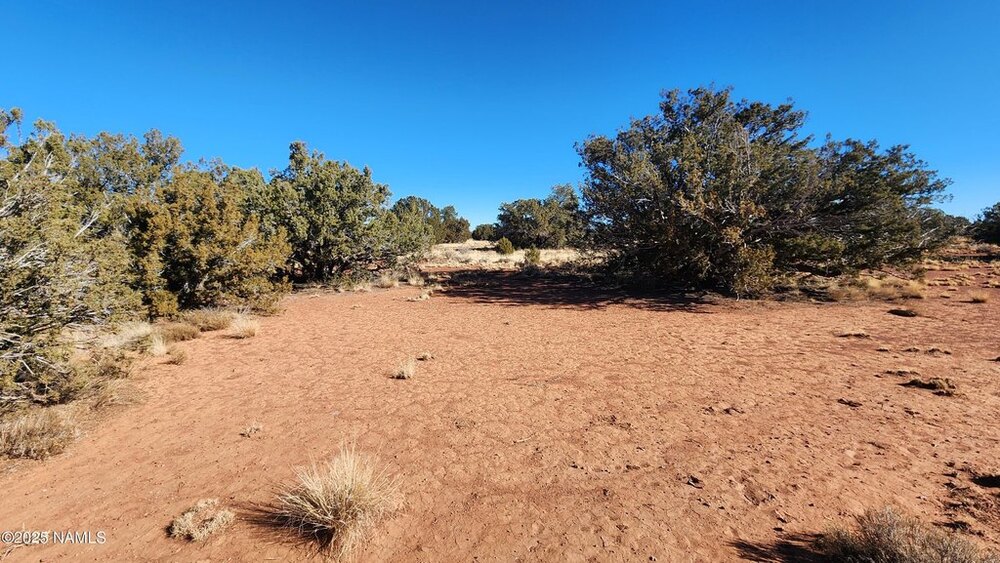 Photo of Mobile Home Lot