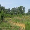 Photo of Mobile Home Lot