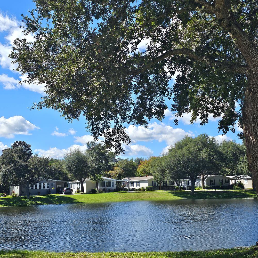 Bear Creek Village