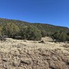 Photo of Mobile Home Lot