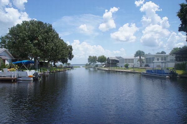 The Harbor