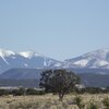 Photo of Mobile Home Lot
