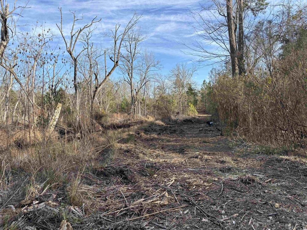 Photo of Mobile Home Lot