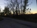Photo of Mobile Home Lot