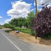 Mobile Home for Sale: 3 Bed 2 Bath 2007 Mobile Home