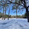 Mobile Home for Sale: 4 Bed 2 Bath 2011 Mobile Home