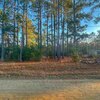 Mobile Home Lot for Sale: Acreage,Lot-Mobile Home,Res. Single Fam Lot,Other/See Remarks, Little Rock, SC