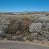 Photo of Mobile Home Lot