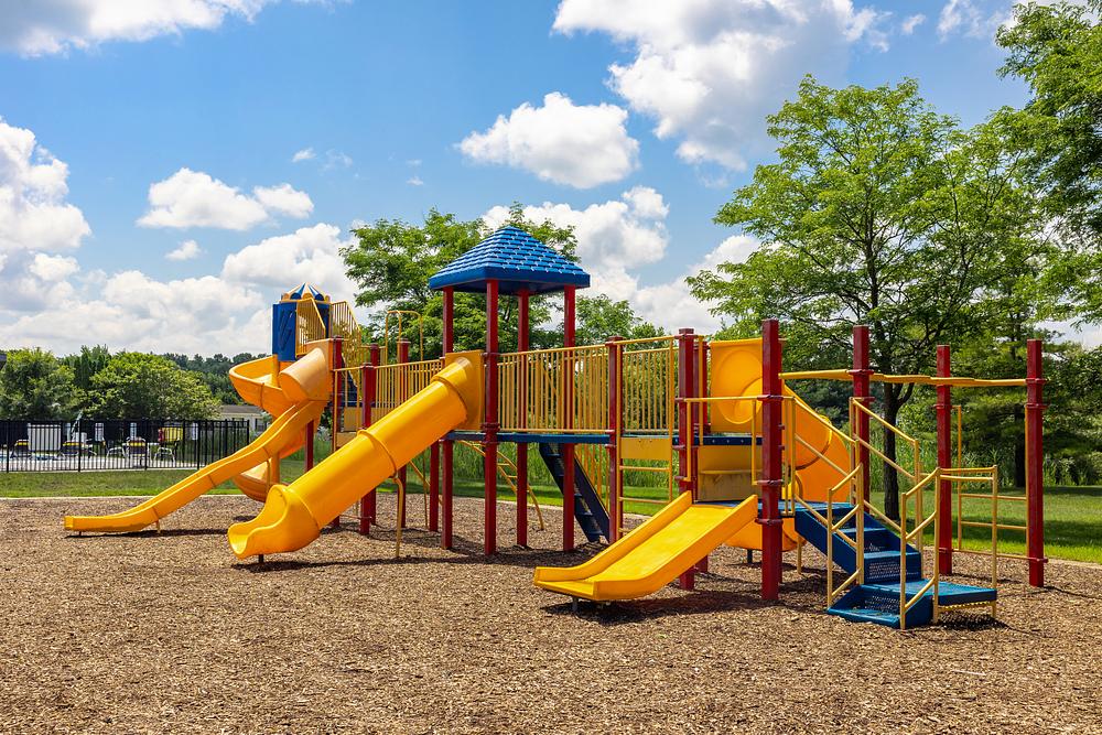 Community Image