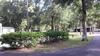 RV Lot for Rent: Salt Springs Resort, Salt Springs, FL