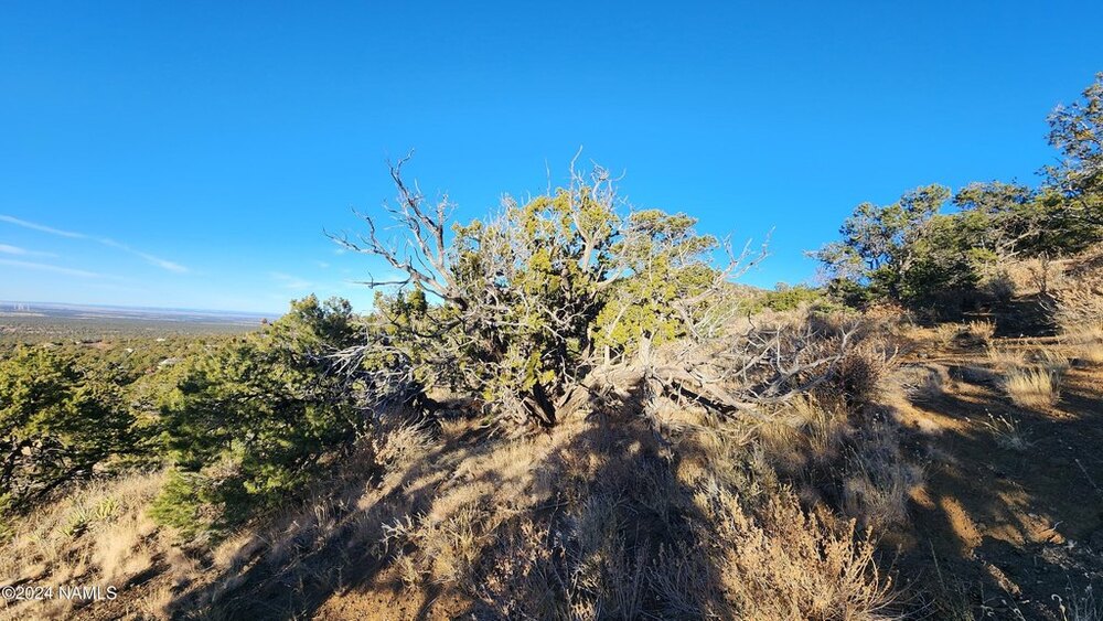 Photo of Mobile Home Lot