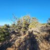 Photo of Mobile Home Lot