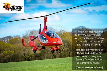 Thumbnail of aircraft