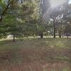 Mobile Home for Sale: 1999 Mobile Home