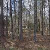 Mobile Home for Sale: 2000 Mobile Home