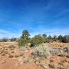 Photo of Mobile Home Lot