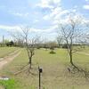 Mobile Home for Sale: 1983 Mobile Home