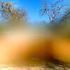 Mobile Home for Sale: 3 Bed 2 Bath 1960 Mobile Home