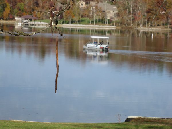 Photo of RV Lot