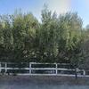 Mobile Home for Sale: 3 Bed 2 Bath 1977 Mobile Home