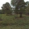 Mobile Home for Sale: 1994 Mobile Home