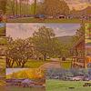 RV Park for Sale: North Carolina Mountain Campground and RV Park for Sale – National Forest Boundary, , NC