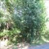 Mobile Home Lot for Sale: AL, HAYDEN - Land for sale., Hayden, AL