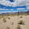 Photo of Mobile Home Lot
