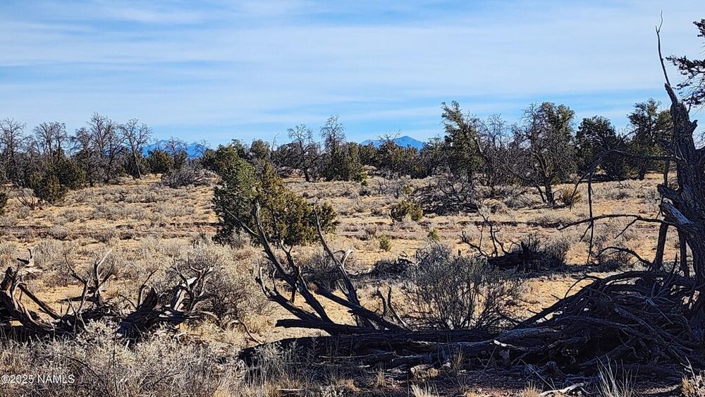 Photo of Mobile Home Lot