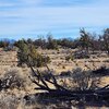 Photo of Mobile Home Lot