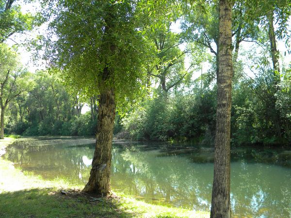 Photo of RV Park/Campground