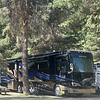 RV for Sale: 2019 ALLEGRO BUS       40 AP 40 AP