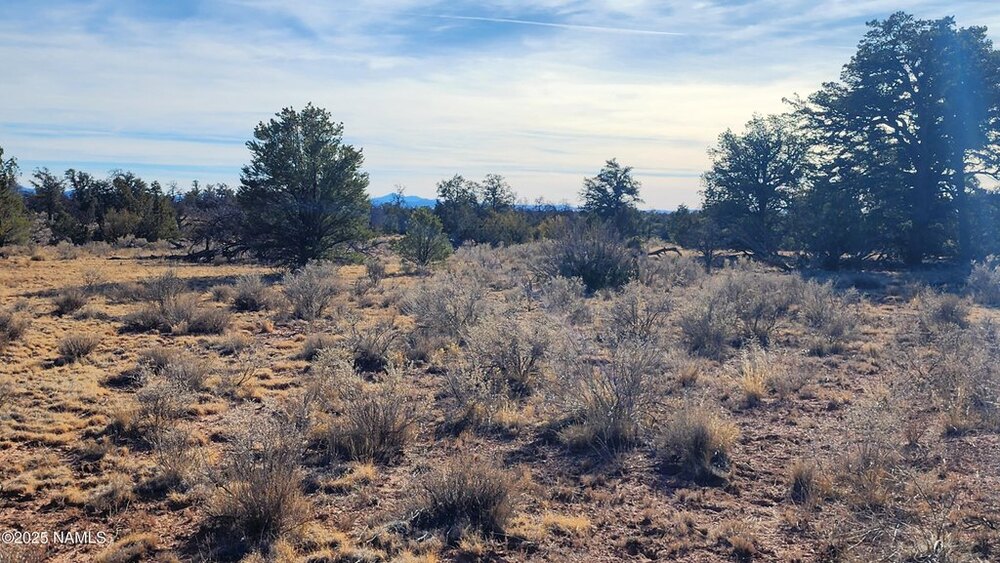 Photo of Mobile Home Lot
