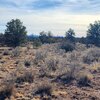 Photo of Mobile Home Lot