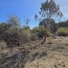 Photo of Mobile Home Lot
