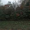 Mobile Home for Sale: 2022 Mobile Home