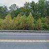 Mobile Home for Sale: 1996 Mobile Home