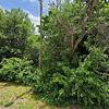 Mobile Home for Sale: 3 Bed 2 Bath 1992 Mobile Home