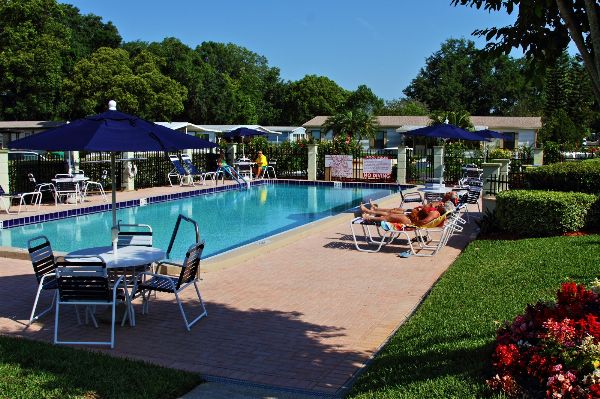 Resort Pool