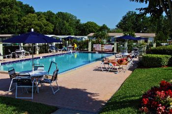Resort Pool
