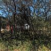 Mobile Home for Sale: 2 Bed 2 Bath 1966 Mobile Home