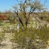 Photo of Mobile Home Lot