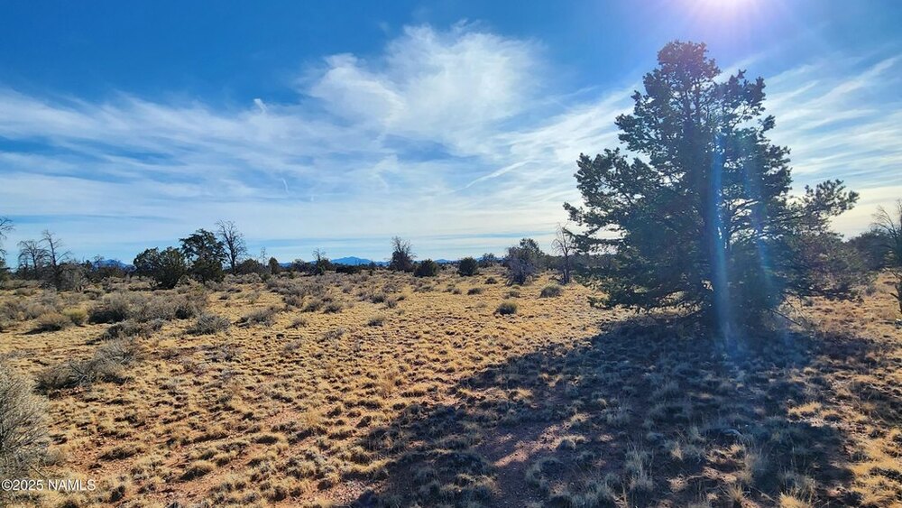 Photo of Mobile Home Lot