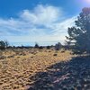Photo of Mobile Home Lot
