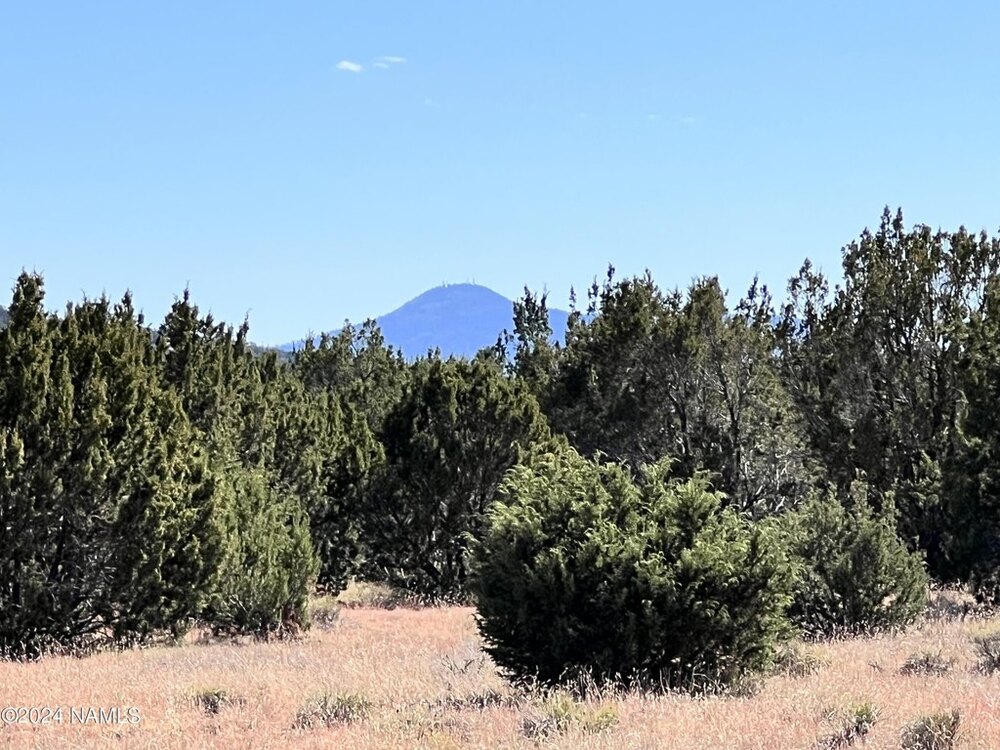 Photo of Mobile Home Lot