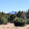 Photo of Mobile Home Lot