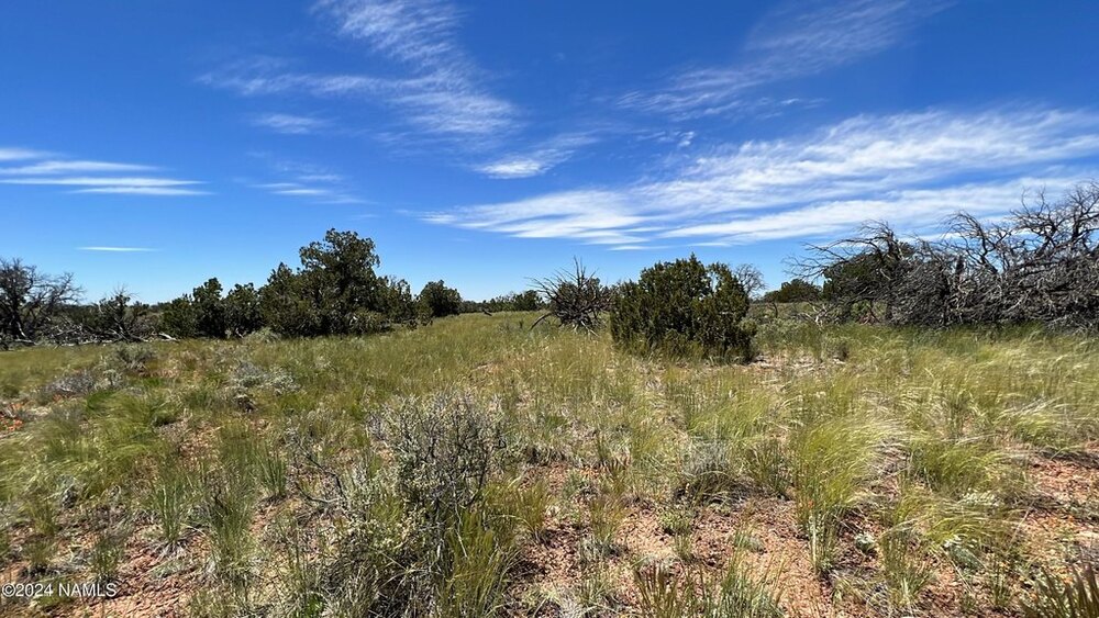 Photo of Mobile Home Lot