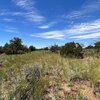 Photo of Mobile Home Lot