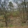 Mobile Home for Sale: 3 Bed 2 Bath 1994 Mobile Home
