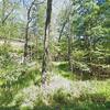Mobile Home for Sale: Mobile Home